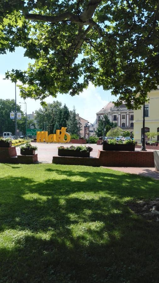 Appartamento Blue Apartman Makó Esterno foto